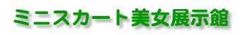 �~�j�X�J�[�g�����W����