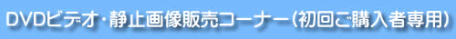 DVD�r�f�I�E�摜�̔��y�[�W�E���񒍕���p
