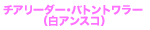 白アンスコチアリーダー